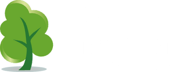 co2 neutrale website